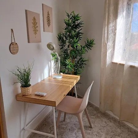 Roja Sol 阿尔布费拉